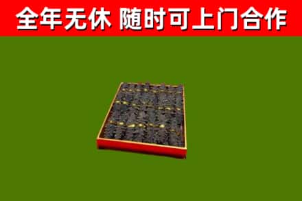 额济纳回收海参